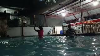 NIGHT SWIMMING WITH FAM