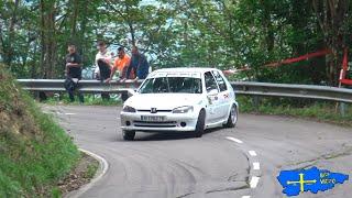 Rallysprint Peñamayor 2024 | SHOW & MISTAKES | BGFVIDEO.es