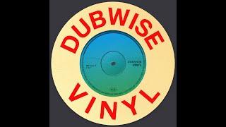 7" Vinyl DJ Mix - Funky Soulful Reggae & Dub - Dubwise Vinyl