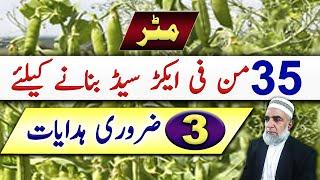 How to achieve maximum yield of Peas Seed || Crop Reformer