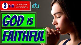 GOD IS FAITHFUL  |  Verses About Trusting God  |  Faithful Scriptures