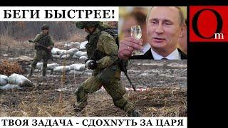 До последнего узкого: каждый день рф теряет 1000 солдат, но все равно не оставляет мечты об Украине