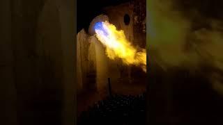 Boiler steam generation / Natural gas firing Burner