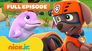 PAW Patrol Pups Pups Save a Dolphin Pup! w/ Zuma  FULL EPISODE | Nick Jr.