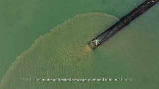 Budds Farm Langstone Harbour - Sewage spill