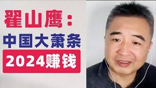 翟山鹰：2024中国大萧条中有哪些赚钱机会？#翟山鹰 #翟山鹰视界 老翟聊八卦