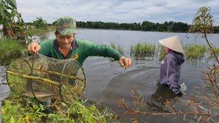 Đặt Lờ Mùa Nước Nổi Dính Đủ Loại Cá Ngon, Đặc Sản Sặc Bướm Muốn Chiên Ăn Là Ghiền #ỐcNhỏMiềnTây