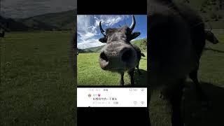 评论区照片点评！#约拍 #人像 #摄影