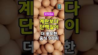 계란보다 단백질이 더 풍부한 음식9가지 #건강정보 #건강관리 #건강#단백질 #식단