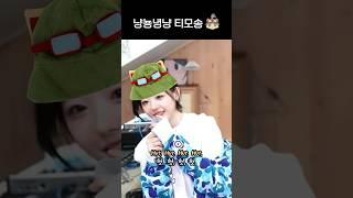 (QWER Shorts) 냥뇽녕냥 티모송