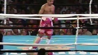 DESTROYED UNDEFEATED BOXER | Jae Won Choi vs Wilfredo Vasquez | TKO (Full Highlight)