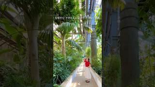  40년의 숲, 식물의 시간 속을 걷다 (Feat.홍보대사 @solroom_stella)