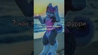 Как я попал в фурри фэндом. (прикол поймут не все) #edit #эдит #фурри #furry