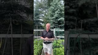 What does the #AmericanDream mean to Tim Martin of #guaranteedrateaffinity ?
