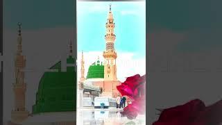 Eid miladunnabi status | eid miladunnabi video | naat sharif status #shorts #subscribe