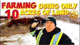 Starting a Farm Using only 10 ACRES of Land 