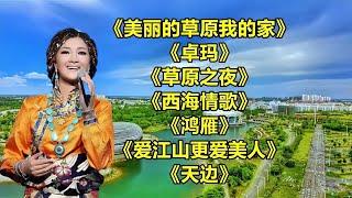 《美丽的草原我的家》《卓玛》《西海情歌》《红尘情歌》《草原之夜》