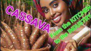 Cassava: The Super Food You May not Know