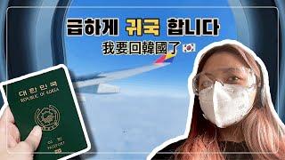 (한/中) 급하게 한국 왔어요 | 我要回韓國了 | 回國準備 | 居家隔離14天