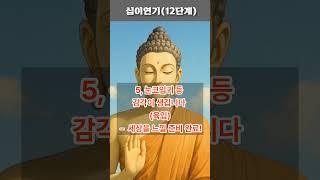 십이연기 12연기 #불교교리#불교공부