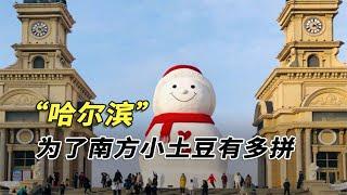 哈爾濱背刺了整個東北！凍梨擺盤、甜豆腐腦，南方小土豆有多受寵