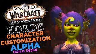 Character Customization (Horde) | Shadowlands Alpha 34365