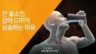 간 효소인 감마 GTP가 상승하는 이유 - (2012.1.28_399회 방송)_아는 만큼 건강해진다, 종합건강검진