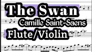 The Swan Flute or VIolin Sheet Music Backing Track Play Along Partitura