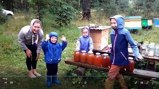 подписчик друг человека у меня на хуторе. Хутор LV