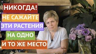 ПРАВИЛА СЕВООБОРОТА: КАК ЧЕРЕДОВАТЬ ПОСАДКУ РАСТЕНИЙ!