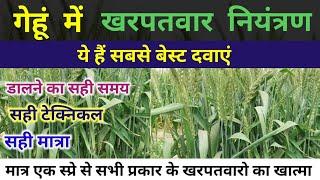 गेहूं में खरपतवार नियंत्रण के लिए ये हैं सबसे बेस्ट दवाएं|गेहूं में खरपतवार नाशक|gehu ki unnat kheti