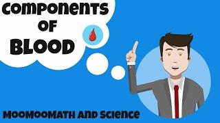 Components of Blood and their function