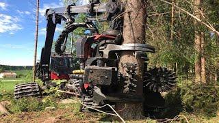 Incredible Tree Cutting Machines | German Technology