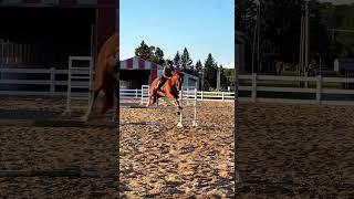 We were flying  the glasses  || #jumper #gobigorgohome #eqq #ottb