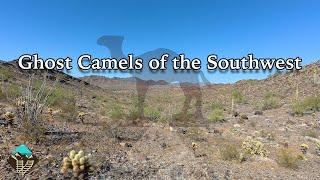 Searching for the Ghost Camels of the Southwest & The Hi Jolly Monument