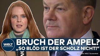 AMPEL-KRISE: SPD, FDP und Grüne vor dem Aus? Sigmar Gabriel äußert sich zu Neuwahlen