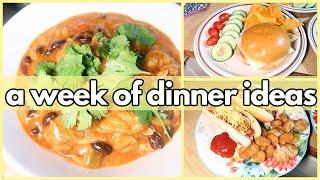 EASY DINNER IDEAS | What’s For Dinner? #358 | 1-WEEK OF REAL LIFE MEALS FOR BUSY FAMILIES