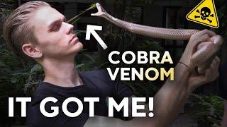 COBRA SPITS VENOM IN MY EYES!!! COBRAS WITH CHRISWEEET