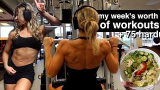 A WEEK OF WORKOUTS: how I gain muscle and stay lean