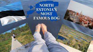 North Estonia's famous Viru Bog!