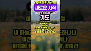 새로운 시작 | 기적이 일어나는 기도 | #말씀조은tv #조현상목사 #목양교회 #성경암송 #큐티 #1분말씀묵상 #기도문
