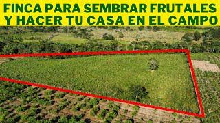 Quieres una Finca de 30 Tareas para Sembrar y hacer tu casa? VEALA en el Proximo Video