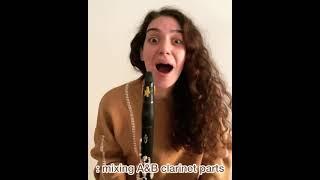 Clarinet Problems 101 - Selin Gürol