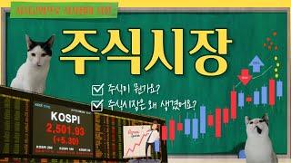주식 초보 필수시청 주식시장은 왜 생겨났을까, 주식의 개념과 주식시장 특징