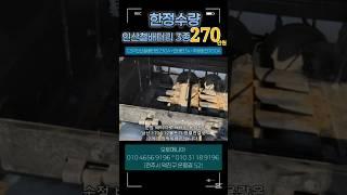 인산철배터리230A+정현파인버터3K+양방향주행충전기50A / (3종) 270만원 #인산철배터리 #인산철파워뱅크 #인버터