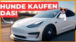 Das hat uns umgehauen  Hunde endlich sicher im Auto  TESLA DOG MODE