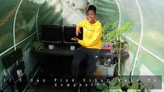 Worm Bin Setup | Another Composting Option For Urban Gardeners | Setup & Feeding | Future Plans