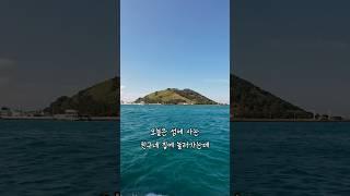 섬에 사는 친구