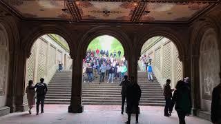 Hallelujah | Bethesda Terrace, Central Park