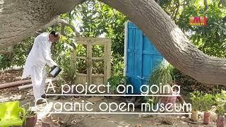 A PROJECT ORGANIC OPEN MUSEUM MOOMAL TV